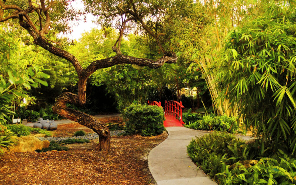 Jardín Botánico de Miami Beach