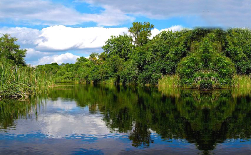 Reserva de la Biosfera de la Encrucijada