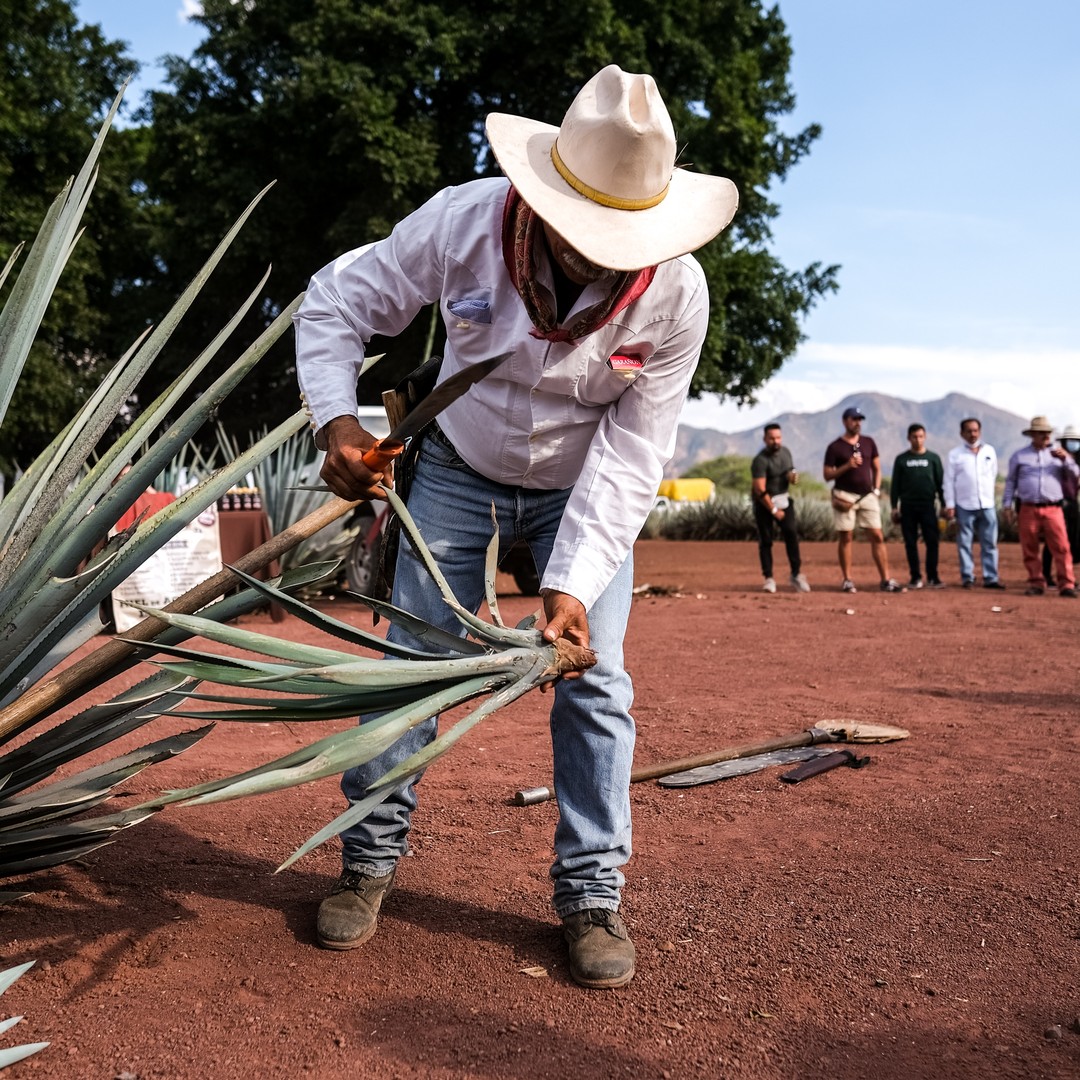 tour tequila express