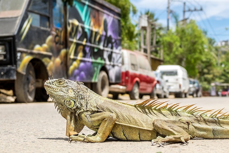 Sayulita uno de los 10 lugares turisticos de la republica mexicana