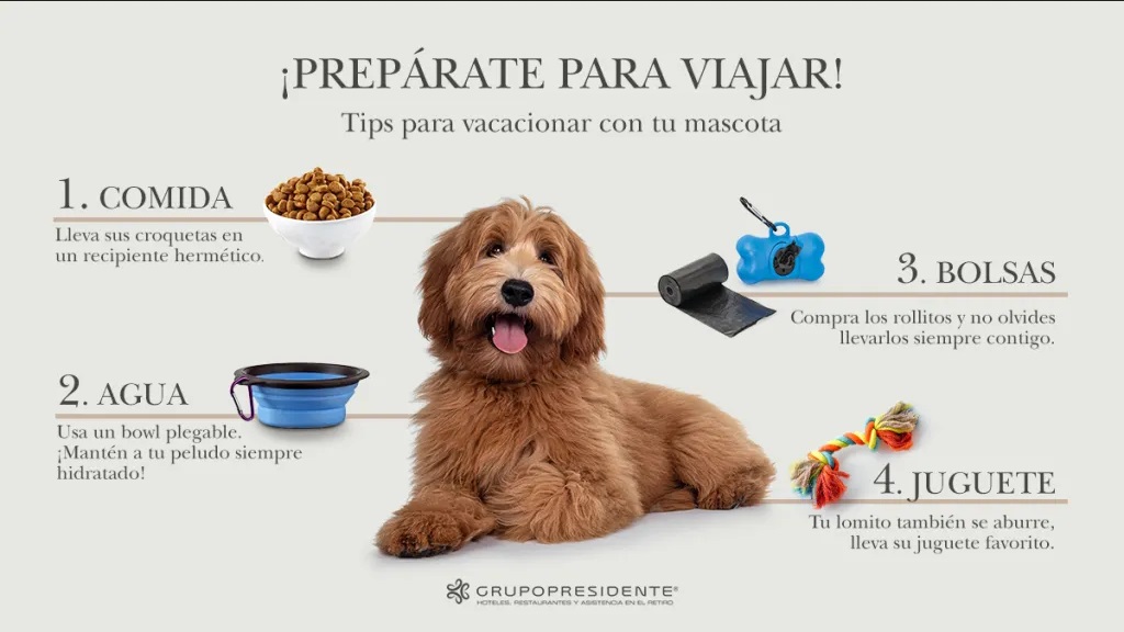 hoteles Pet-friendly en Guadalajara