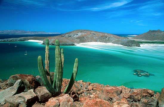 Baja California Sur es uno estados turisticos de mexico playeros que nos regala a la ciudad de la Paz, una ciudad rodeada de dunas de arena y hermosas playas.